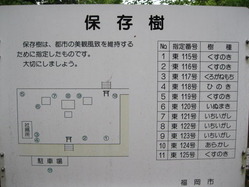 部木八幡楠など保存樹配置図