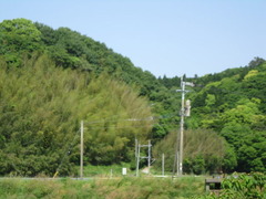 2Âí¸ý