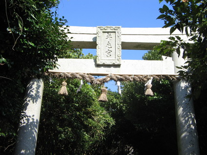 年毛10
