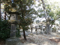 石灯籠群1