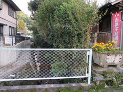 3不動・磐井川水路