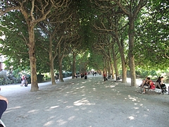 DSCF0360