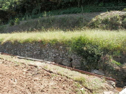 P9282641