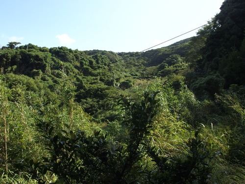 P9280186