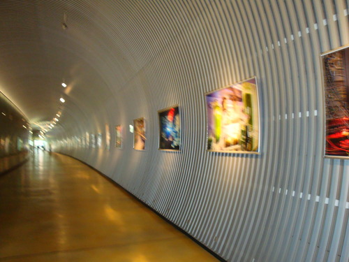 DSC01537