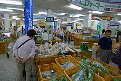 P1000098