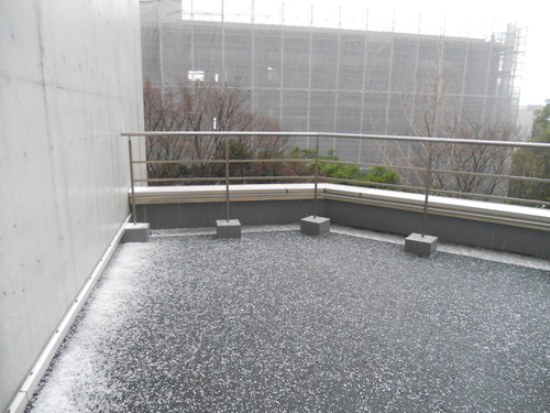 DSCN0777