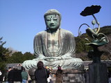c1559541.jpg