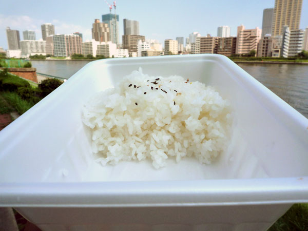 ほわいと乳飯店コメ断面