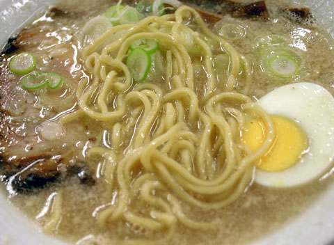 ���顼��󤫤��������콨�Ķ�