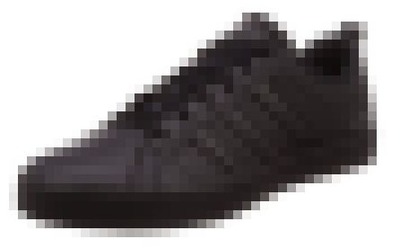 WS000036