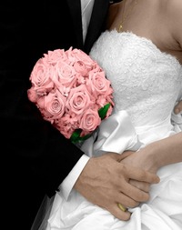 �ʥ�������²�ΤߤȤ��Фä��ˤʤꤽ��