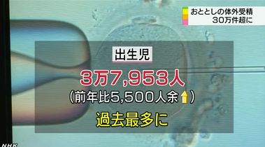 まあええんでない