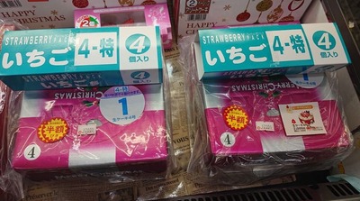 WS000041