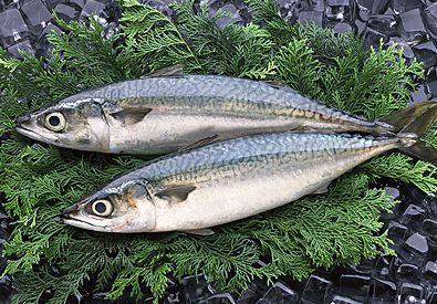 エセサバサバばっかだからねぇ