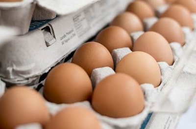 卵は1日1個まで。 長年の論争に決着?