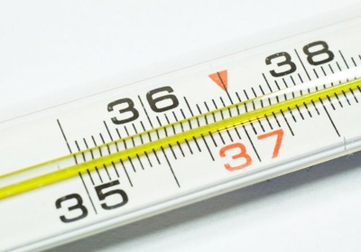 WS000009