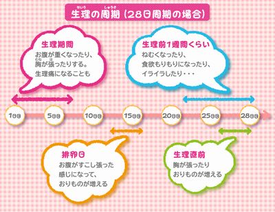 ふむふむ