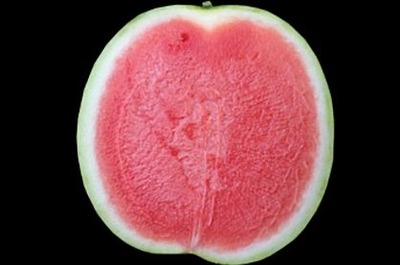 WS000002