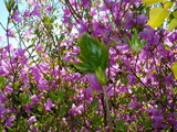 92044fba.JPG
