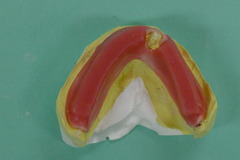 mukoujima 002