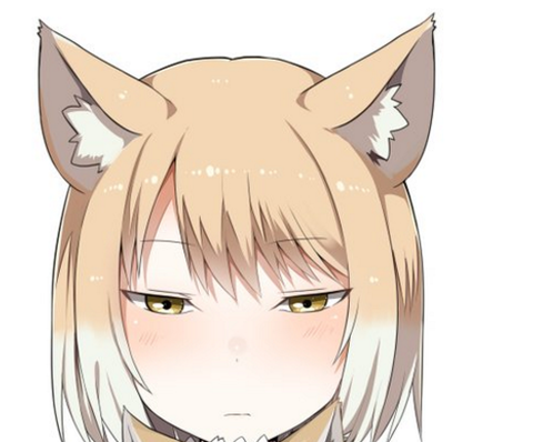 けものフレンズ チベットスナギツネを抱えるチベットスナギツネ 二次創作 けものフレンズ Com