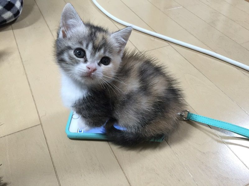 ブログ用3