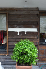 DSC04071