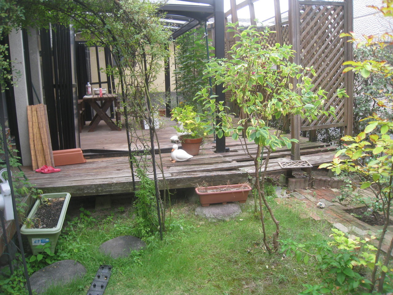 ガーデンルームがよみがえりました 広島のエクステリア ガーデンプランナーの日常