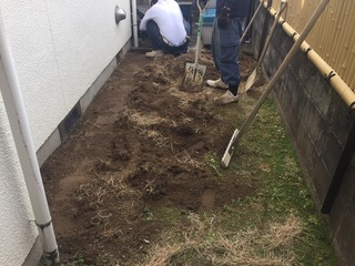 Image_561cf86