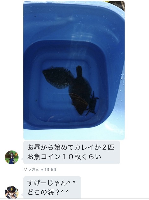 FullSizeR