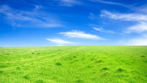 Green-grass-blue-sky_1366x768