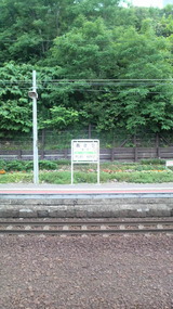 116b77f7.jpg
