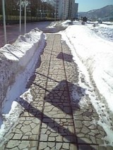 5116138b.jpg