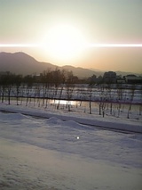 59549b44.jpg