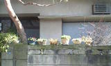 20090214113130