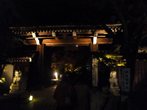 P1010710