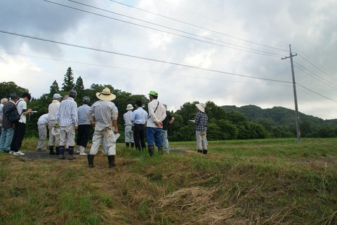 kannna