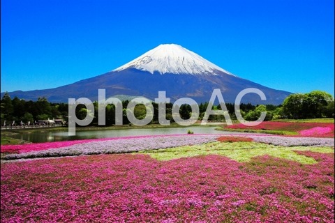 Photo Ac 写真譲渡以外も理解が必要 気ままなストックフォトライフ