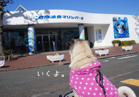 DSC01058