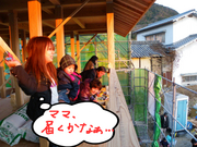 BlogPaint