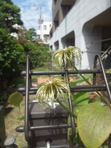 09488b1a.jpg