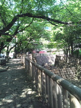 417386ca.jpg