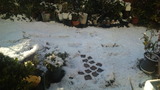 804898b5.jpg