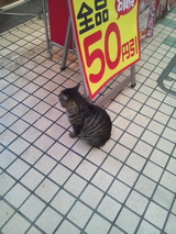 93aa0829.jpg