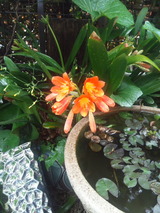 9b0435ae.jpg