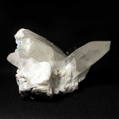 HSP496_1