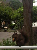 Photo057