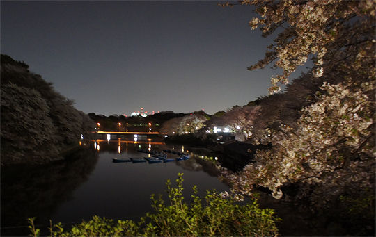 1104_chidorigafuchi02