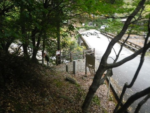 IMGP4775